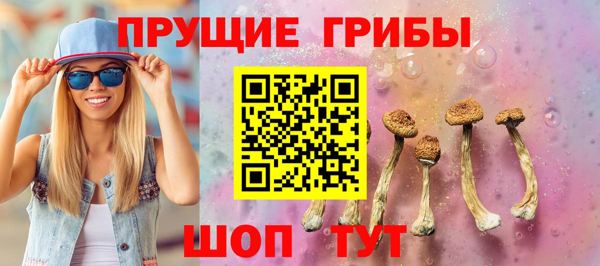 Галлюциногенные грибы мухоморы Саянск